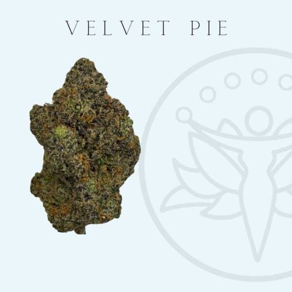 THCA Flower Velvet Pie (Hybrid)