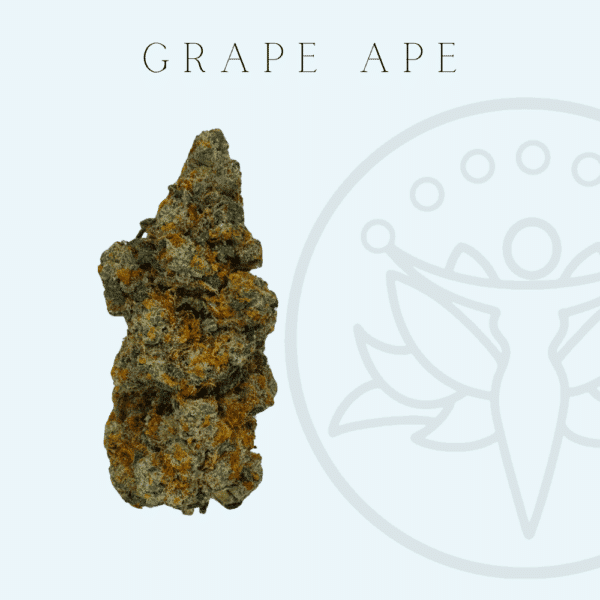 THCA Flower Grape Ape (Indica Hybrid)