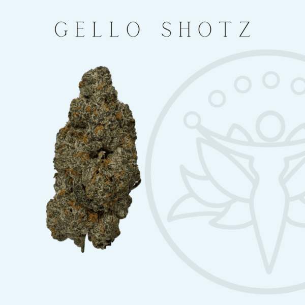 THCA Flower Gello Shotz (Sativa Hybrid)