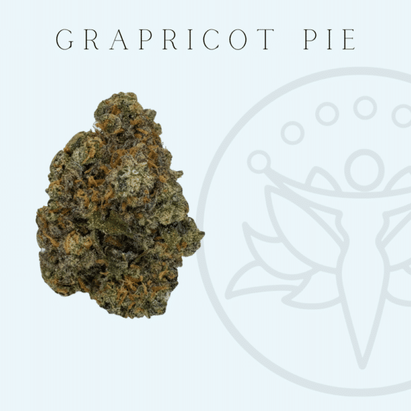 THCA Flower Grapricot Pie (Indica Hybrid)