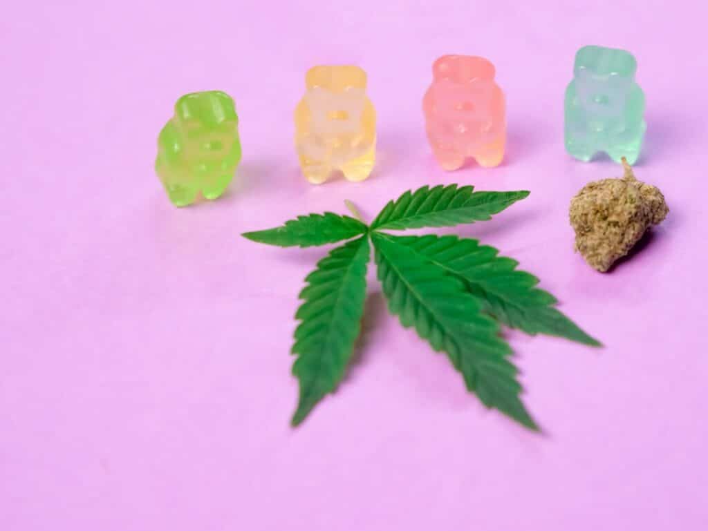 green leaf that is pink background