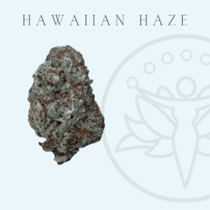 THCA Flower Hawaiian Haze (Sativa Hybrid)